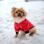 Зимний комбинезон куртка для маленьких собак Terry красный M-3